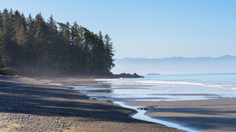 Easy Day Trips from Victoria for Spring Exploring | DFH Real Estate