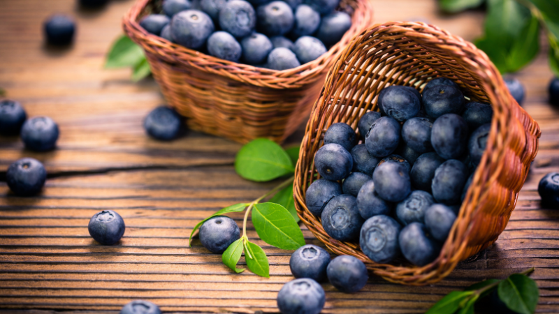 Explore These Flavour Trail Stops in Central Saanich | DFH Real Estate