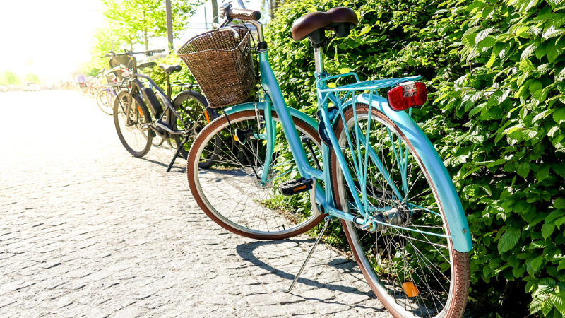Scenic Cycling Routes Around Victoria and the Saanich Peninsula | DFH Real Estate